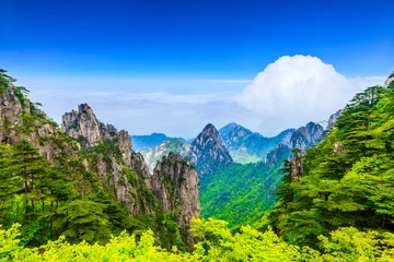 Photo sur Plexiglas Monts Huang Huangshan mountain natural landscape in anhui,China.