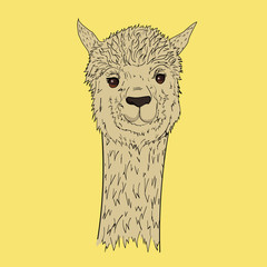 Alpaca marrón, fondo amarillo pastel, claro