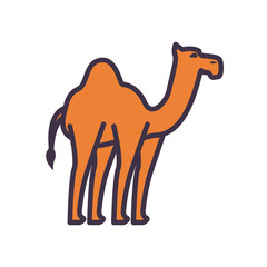 Cute camel fill style icon vector design