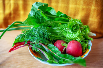 fresh vegetables for salad in the plate