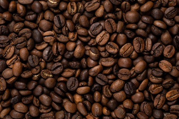 Fototapeta premium loose coffee grains photographed closeup