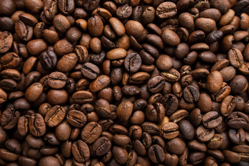 loose coffee grains photographed closeup