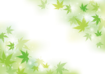 青紅葉　木漏れ日　背景