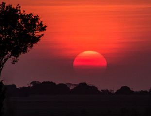 Obraz premium Sunset 