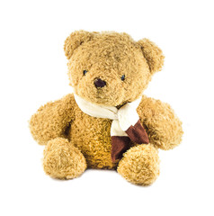 teddy bear doll on white background