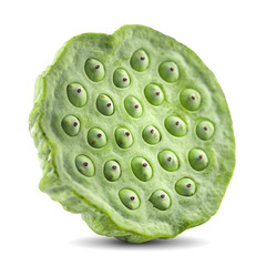 Lotus seed isolate White background