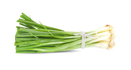 Spring onion isolated closeup  on white background