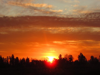 Atardecer. Paisaje de campo.