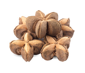 Star Bean Inca isolate on white background