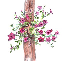 Watercolor full-color drawing of flowering burgundy petunias bushes in pots hanging on a pillar