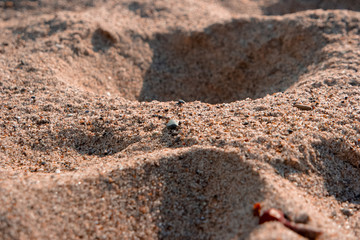 말리부 비치의 모래사장,  Sandy beach