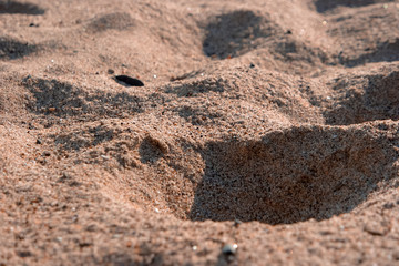 말리부 비치의 모래사장,  Sandy beach