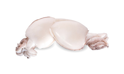 Fresh squid isolated on white background