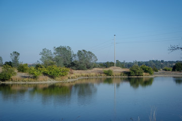 맑은 날 호수와 나무의 조화로운 풍경