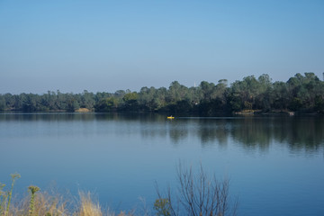 맑은 날 호수와 나무의 조화로운 풍경
