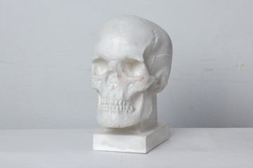 classical plaster head skull bust against a white, old, worn wall.