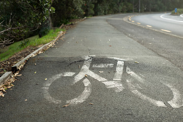 Trees with big roots damage cycleway. Low angle view of the cracked cycle way with bicycle sign printed on it. © Janice