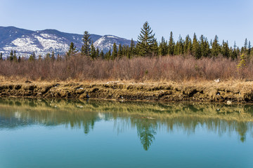 Fairmont creek flowing in columbia lake park Regional District of East Kootenay.