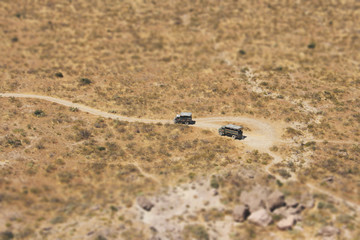 tracks in desert