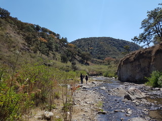 Walking along the hot river located in the spring forest in Guadalajara