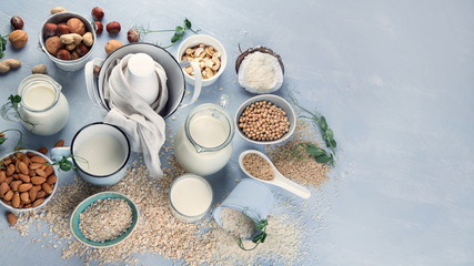 Various vegan plant based milk and ingredients.