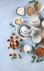 Various vegan plant based milk and ingredients.