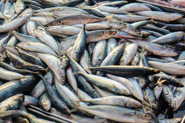 Obraz premium Bundle of tuna sea fish sell in fresh market
