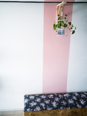 Green plant in bird cage on  pink and white background.