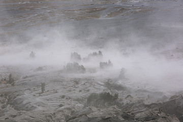 This is the view from Bromo Volcano. It is a beautiful scenery of Indonesia.