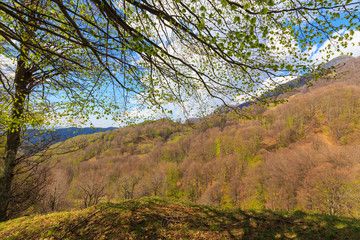Pastoral rural scenery in spring, in Eastern Europe