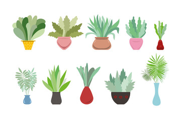 Collection of decorative houseplants isolated on white background. Bundle of trendy plants growing in pots or planters.Set of beautiful natural home decorations. Flat colorful vector illustration.