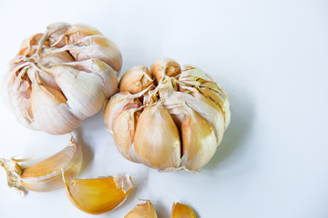 Garlic or Allium sativum isolated on white background.