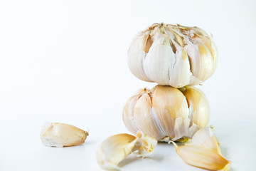 Garlic or Allium sativum isolated on white background.