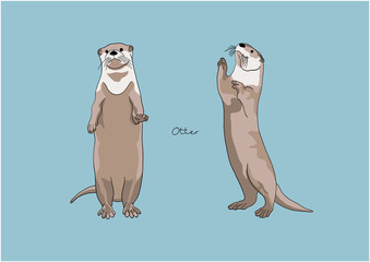 Vector Illustration of adorable Otter