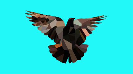 Low poly vector art of pigeon bird isolated on blue background. 