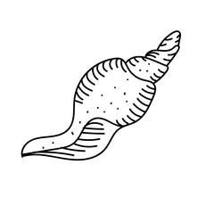 vector element, black and white drawing of a marine inhabitant, shell