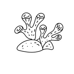 vector element, black and white picture of a marine inhabitant, cute seaweed corals