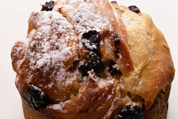Easter cake with powdered sugar on the crust