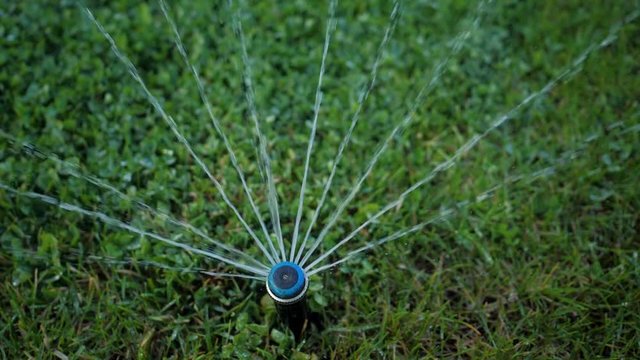 Close-up. Irrigation system. Water splashes are sprayed on the manicured lawn