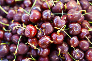 A pile purple color of black Cherry with the water droplets on top, close uo photo