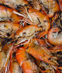 image of grill shrimp homemade seafood on blue background,