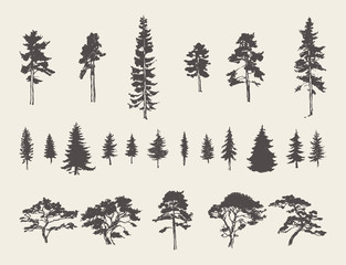 Set silhouettes trees pine fir cedar vector sketch