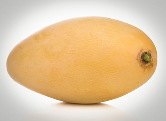 Mango healthy fresh fruit from nature isolated on a white background.