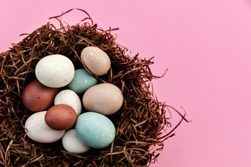 Festive Easter eggs in the nest against pink background, traditional decoration for home on seasonal holiday