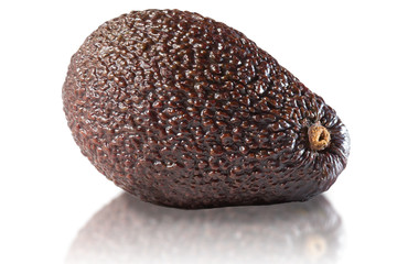 Avocados on white background