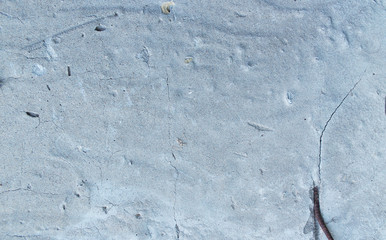 Concrete texture