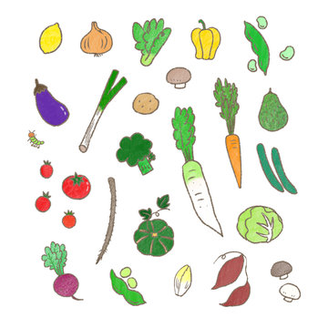 1 958 Best 野菜 フレーム Images Stock Photos Vectors Adobe Stock