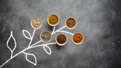 Colourful assorted plant-based spices and chalk drawn plant on black background