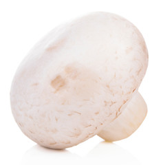 Mushroom champignon healthy fresh vegetable from nature isolated on a white background.