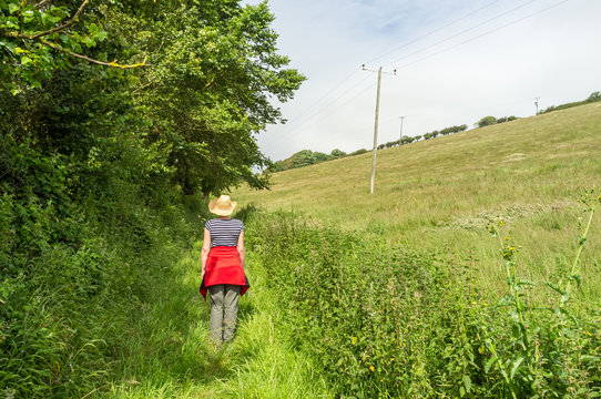 Circular Walk between Torcross and Beesands after leaving Widdicombe Wood
